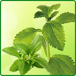 Stevia i produkty słodzące